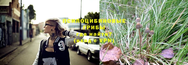 прущая мука Белоозёрский
