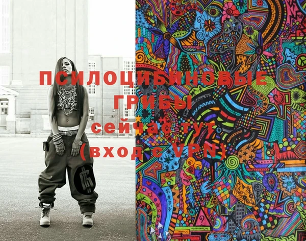 мяу мяу мука Баксан