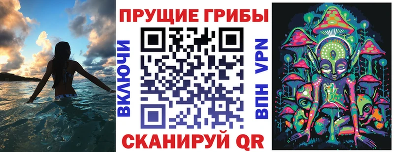 сколько стоит  Белоусово  Псилоцибиновые грибы Cubensis 